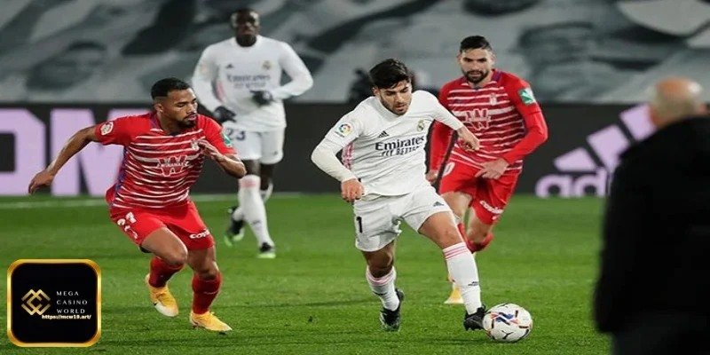 সঠিক স্কোর কিও